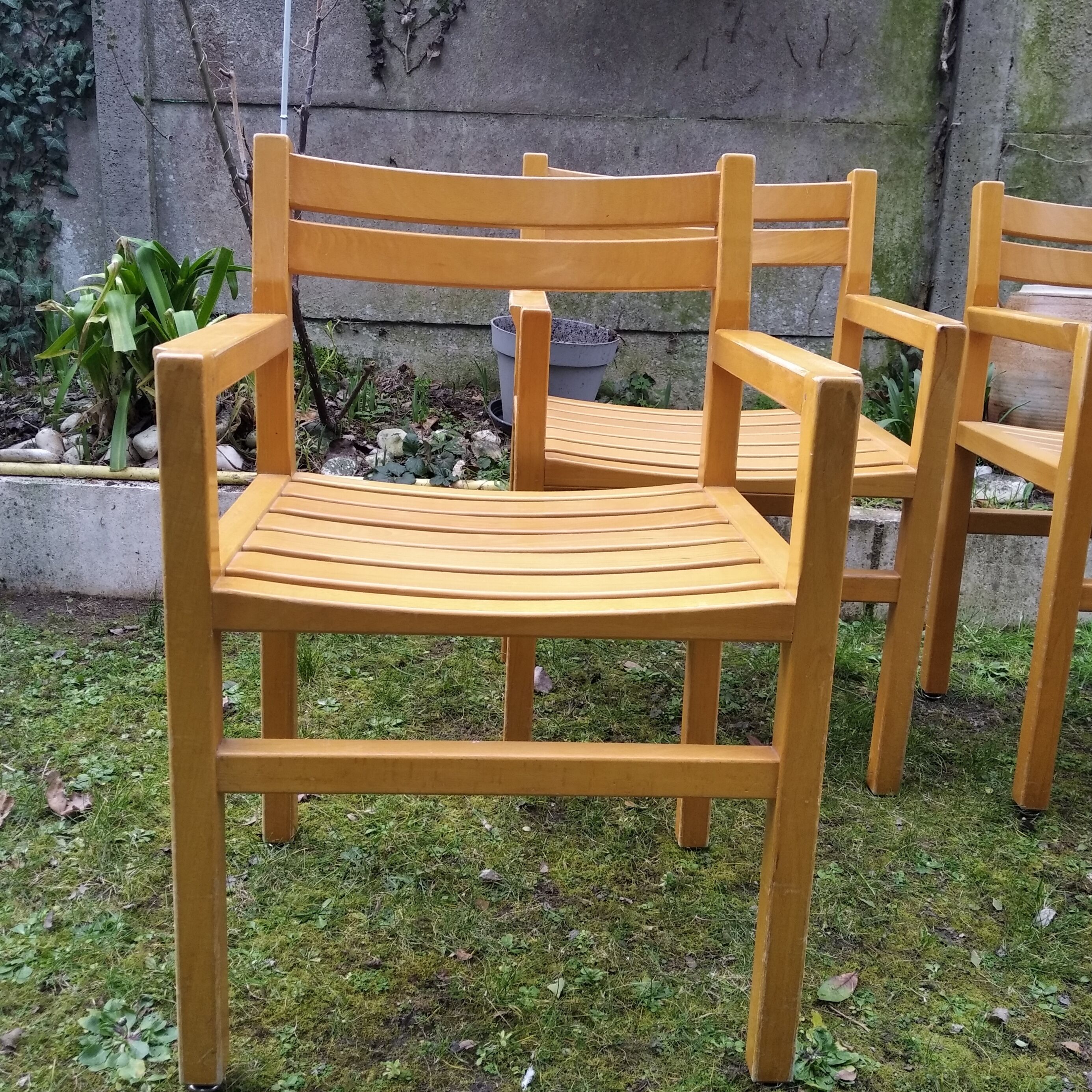 4 solid beech armchairs