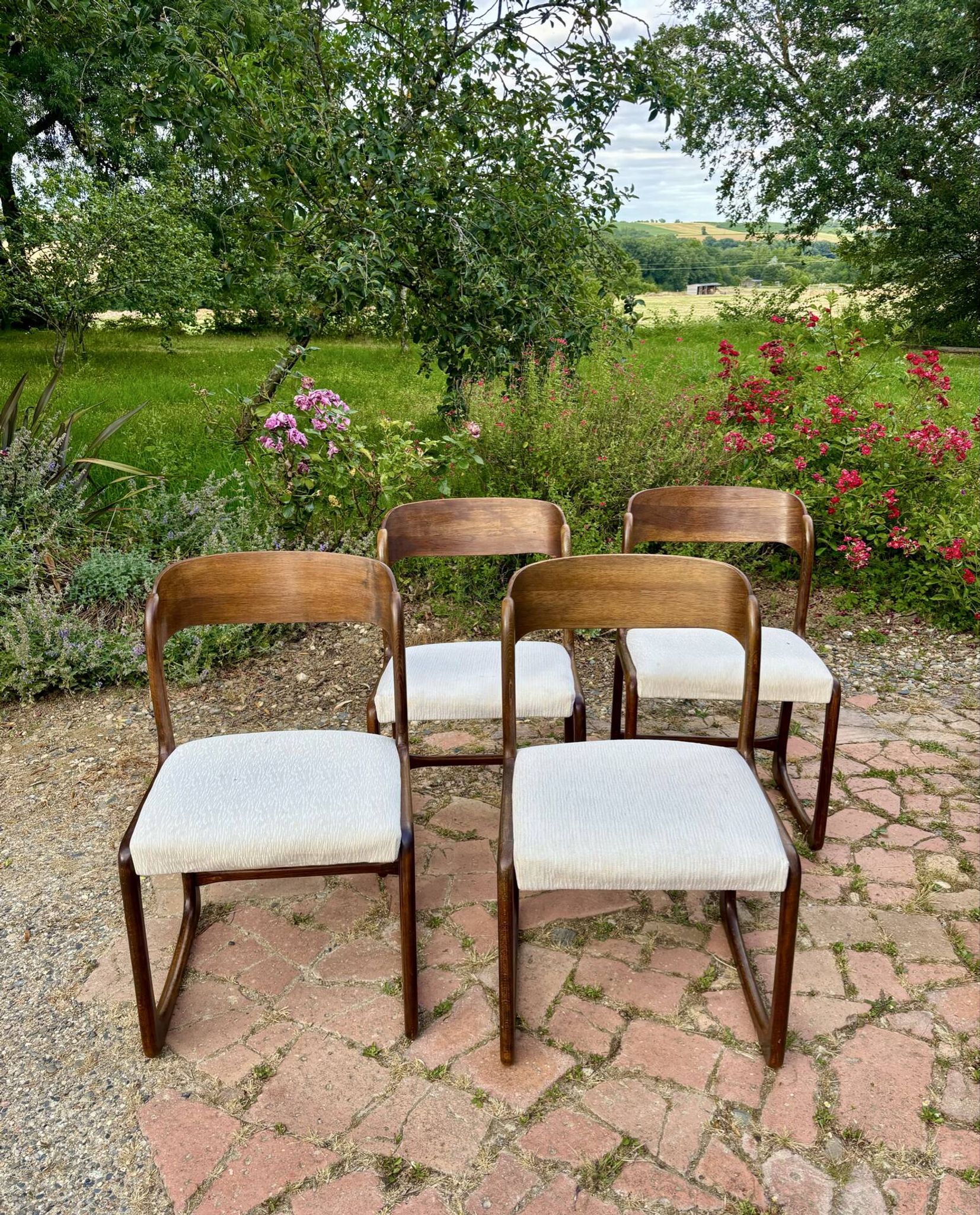 Four vintage Baumann sled chairs from the 1960s 1970s.