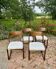 Four vintage Baumann sled chairs from the 1960s 1970s.