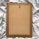 Framed lithograph roses Pierre Joseph Redouté, vintage botanical poster