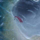 Slush type fish service, vintage 60'S