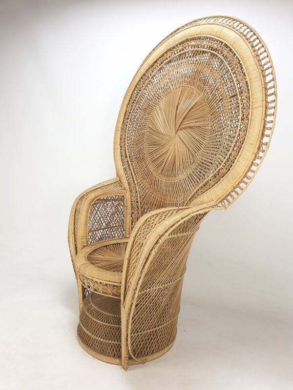 Emmanuelle in rattan and wicker armchair Italy 1960's