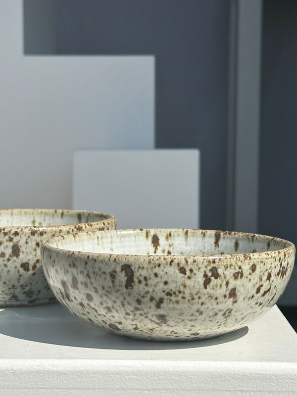Duo de bols en céramique mouchetée