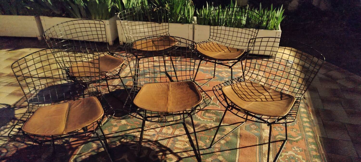 6 chaises Wire Harry Bertoia noires