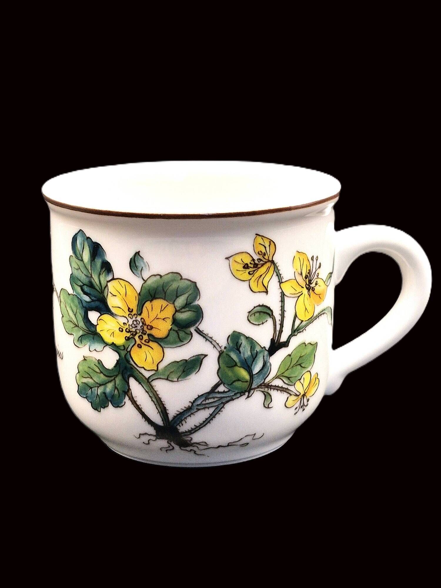 Set of 6 coffee cups and saucers Villeroy & Boch, vintage, Botanica