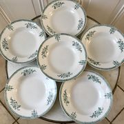 Lot of 6 hollow plates Terre de Fer Saint-Amand late nineteenth