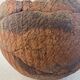 Spherical terracotta two-tone degreasing limestone XXth Africa