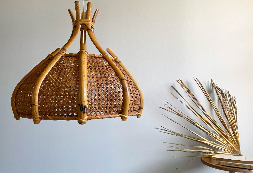 Rattan & caning hanging lamp