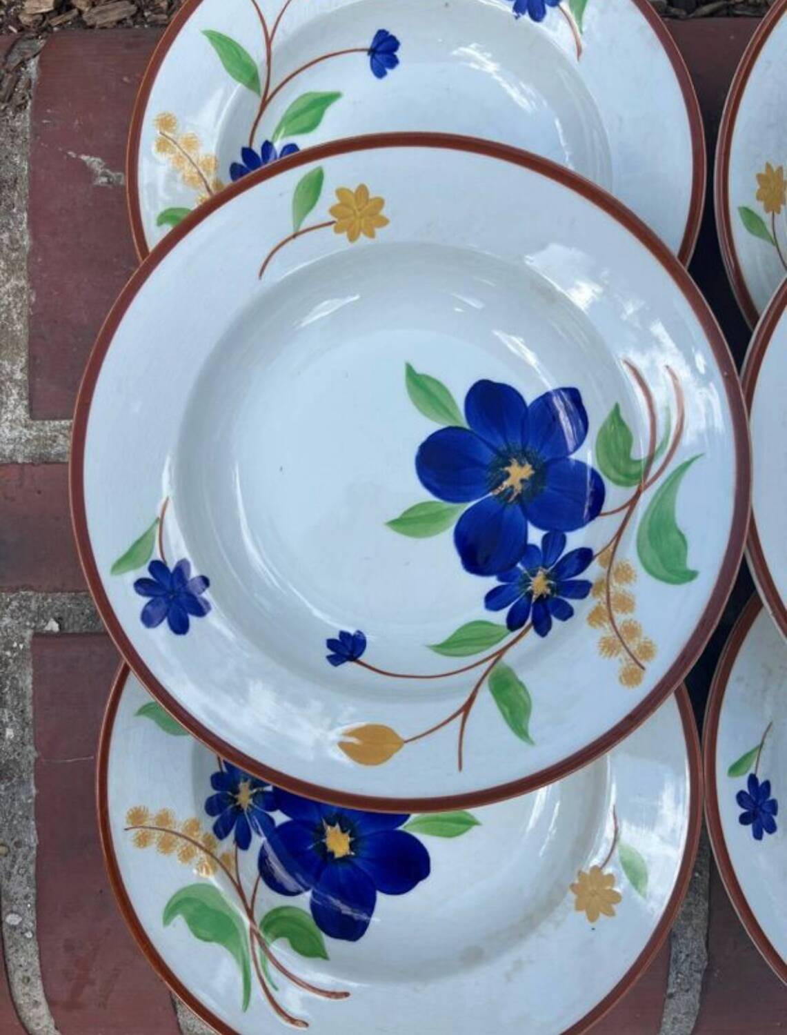 Gien - 6 Tournefeuille soup plates