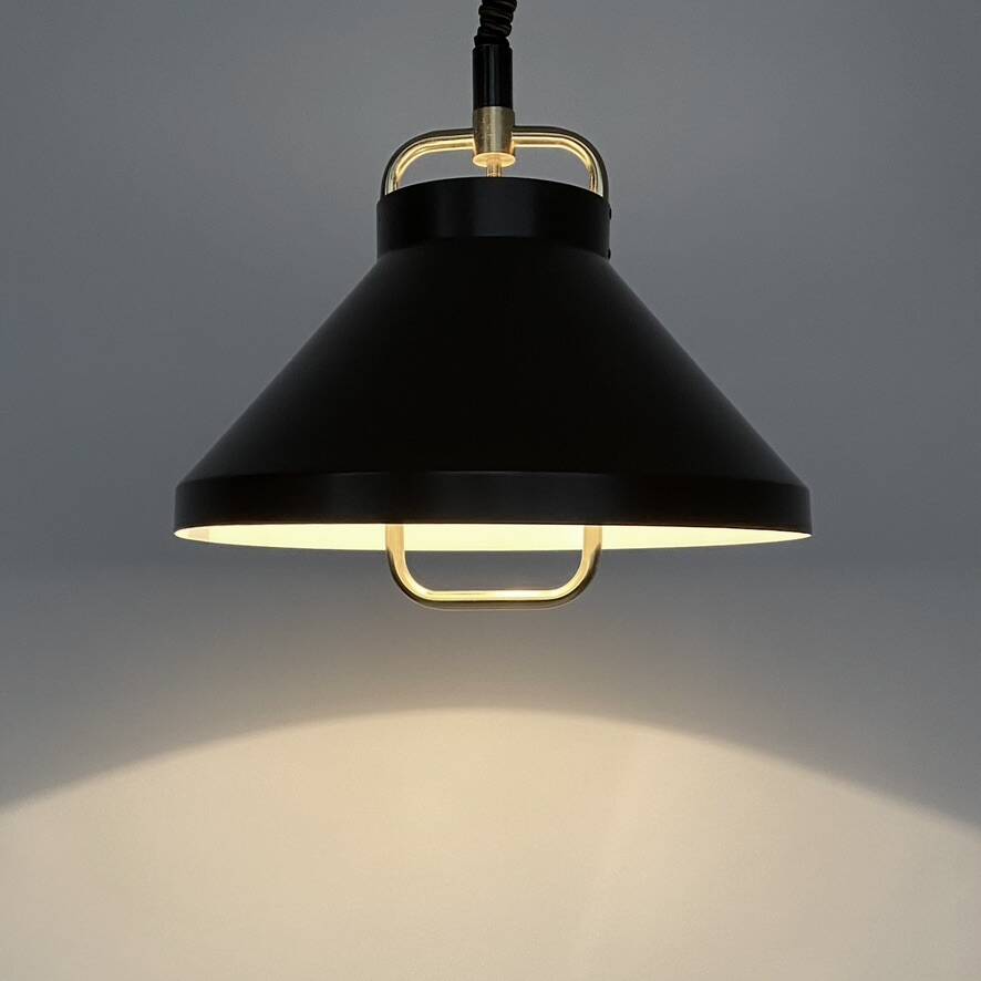 Vintage Jo Hammerborg pendant light