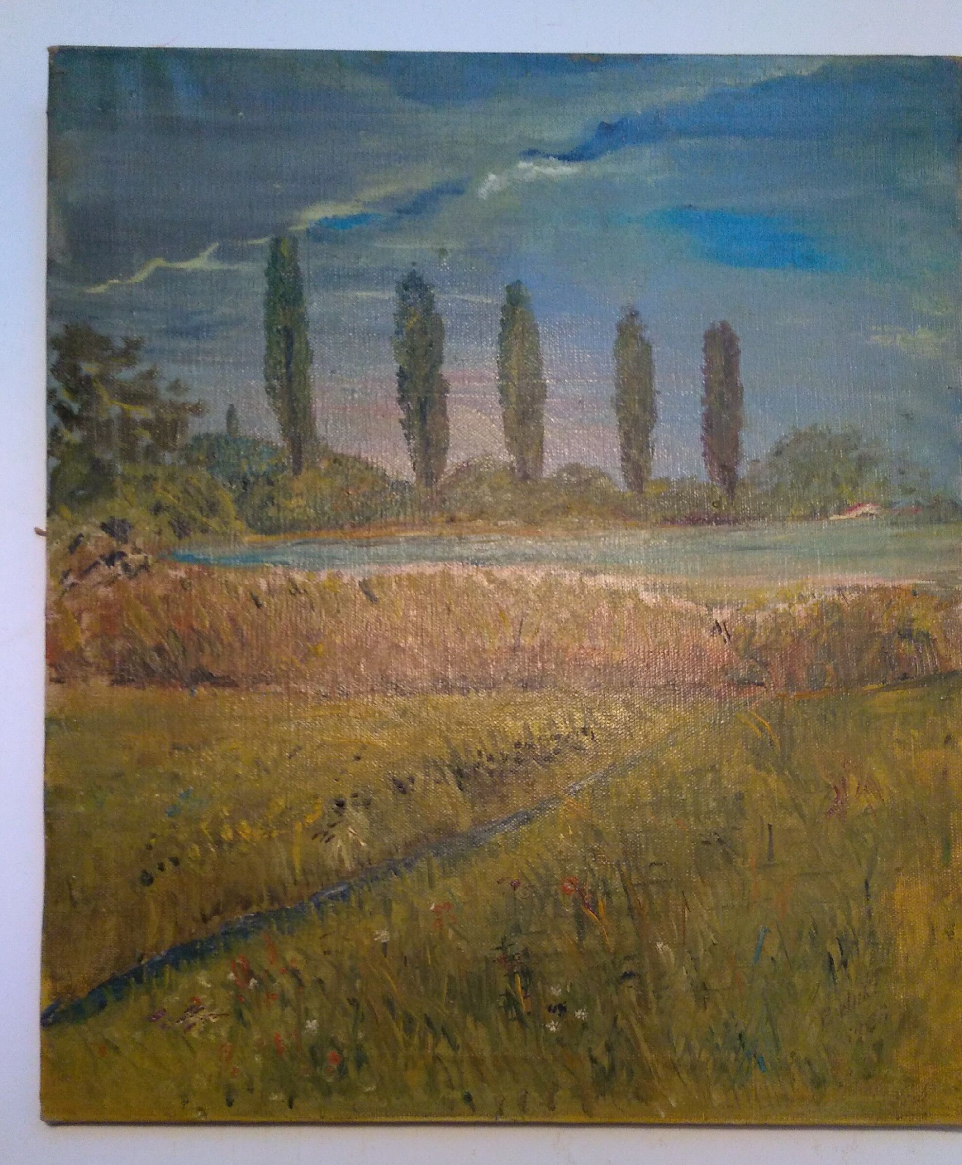 Oil on landscape canvas