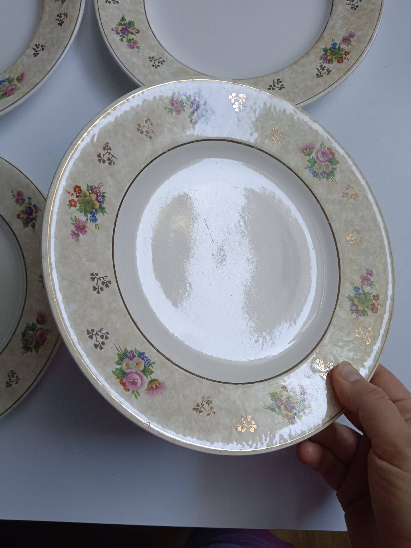 Set of 6 flat plates Salins model Simone beige with flowers.