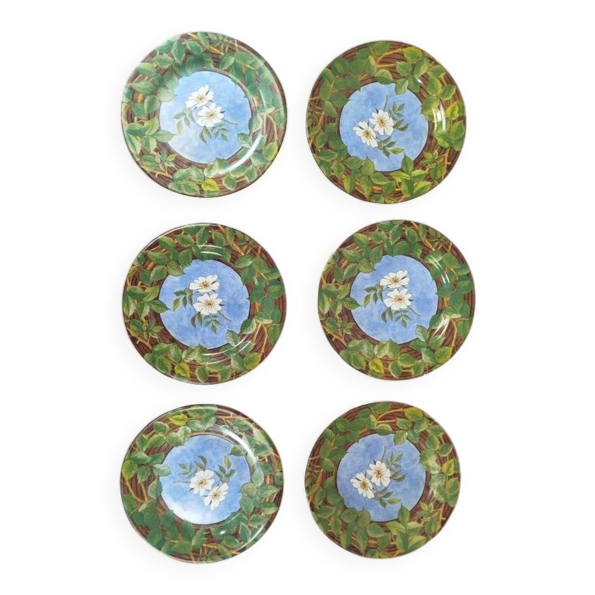 Set of 6 Gien Évasion flat plates with vintage floral foliage design.