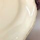 Decorative plate earthenware of Salins France decoration Strasbourg