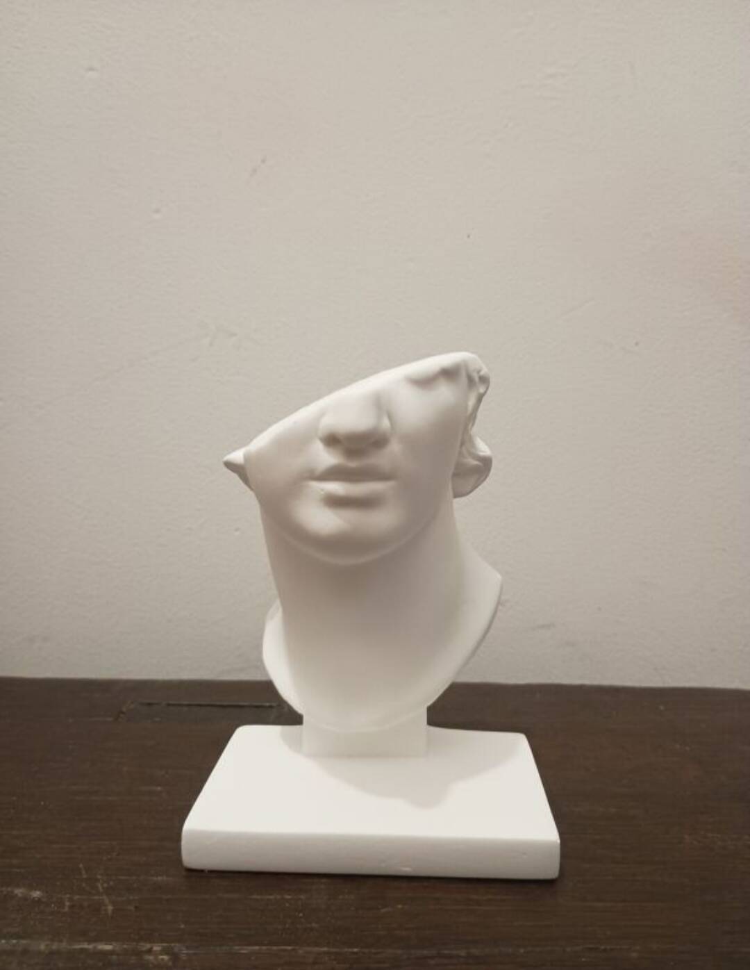 Plaster head