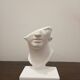 Plaster head
