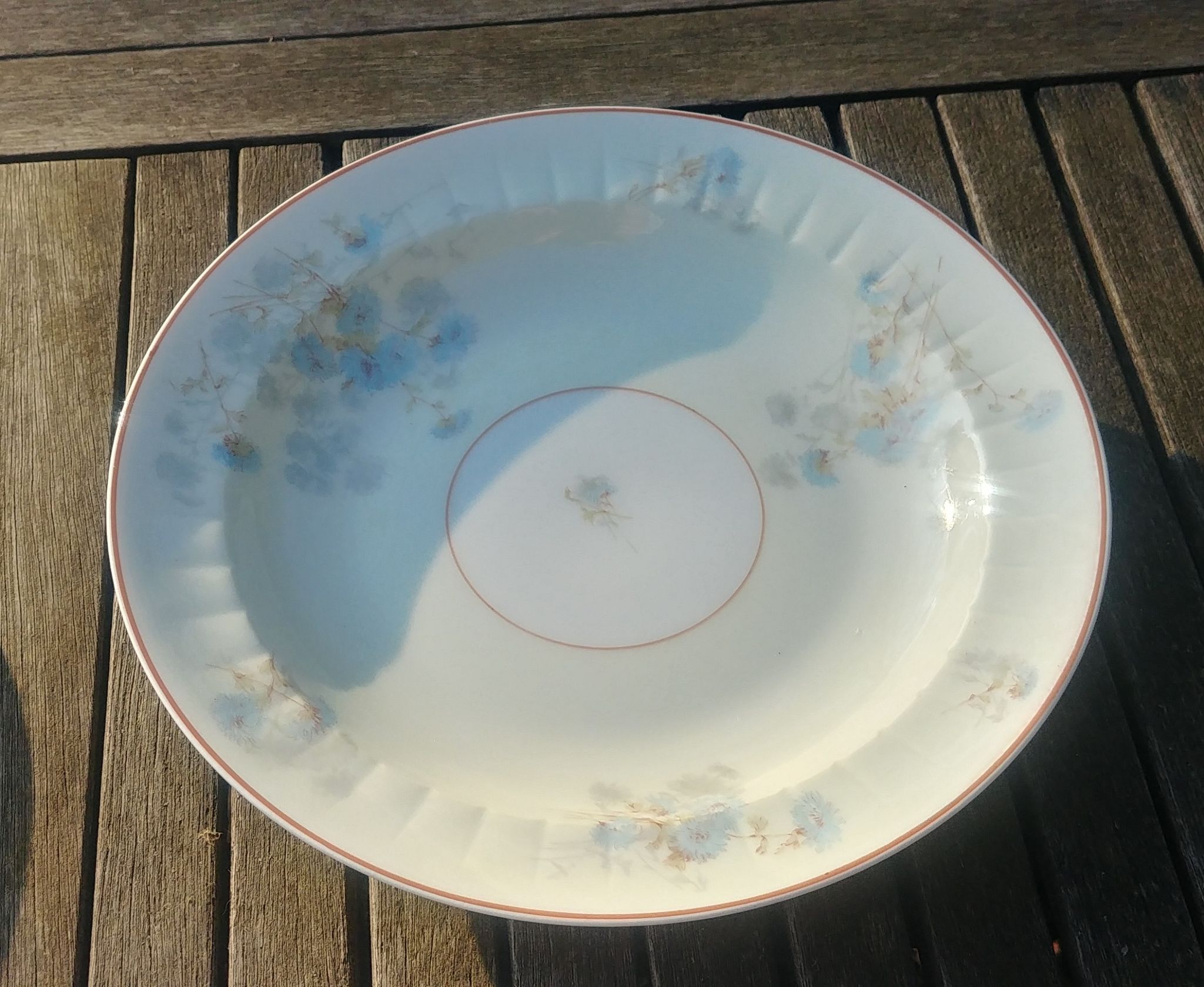 Set of four hollow Limoges porcelain plates signed Robert Haviland & Le Tanneur