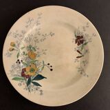 12 old polychrome flat plates Jules Vieillard Bordeaux, 19th century