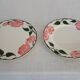 2 round plates Villeroy & Boch "Wild Rose", 1970