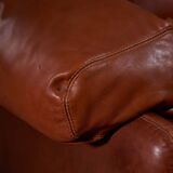 Coronado Armchair by Afra and Tobia Scarpa for B&B Italia, 1960s