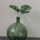 Green demijohn