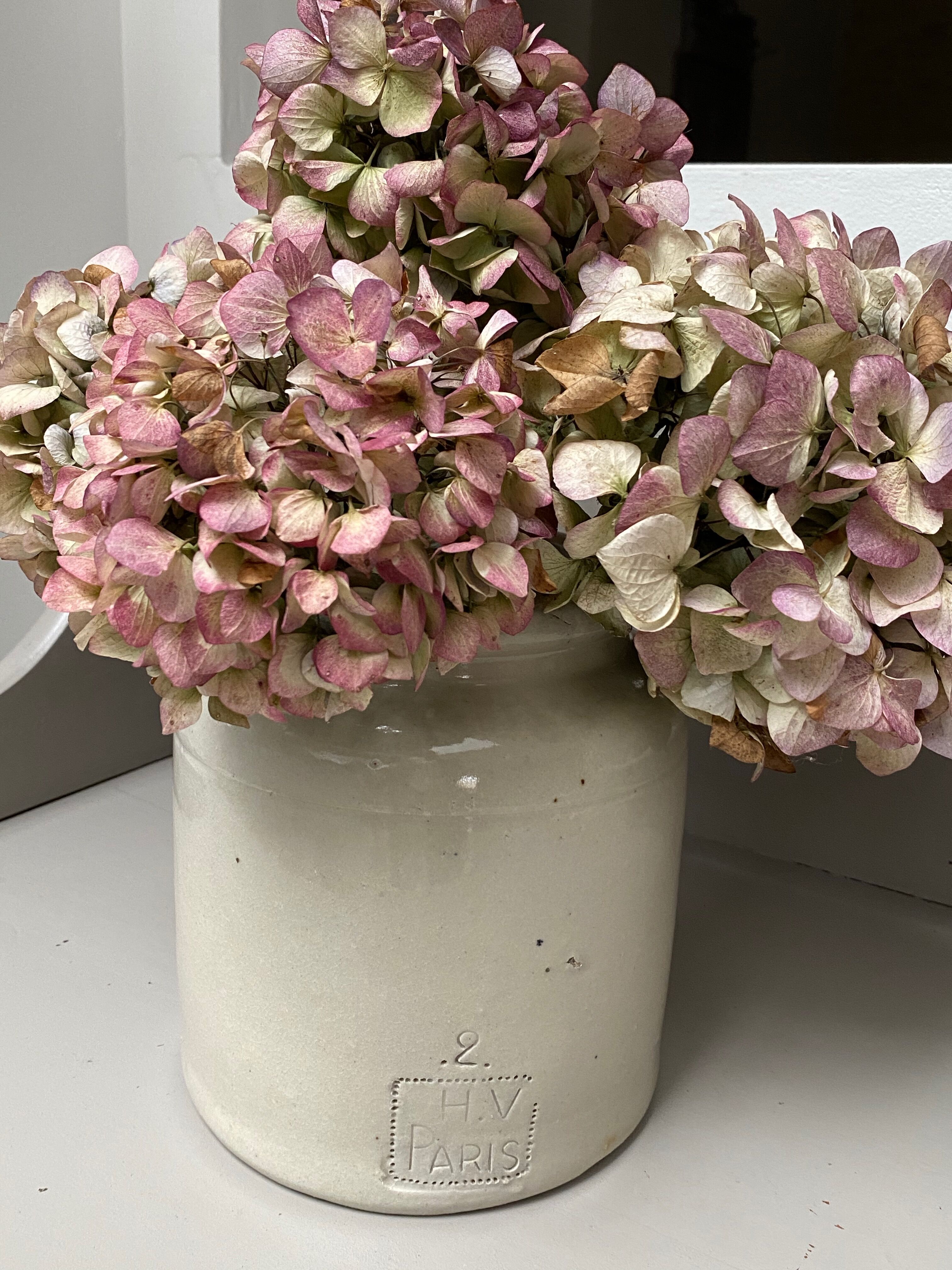 Large varnished earth jar