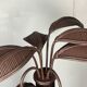 Pencil reed rattan bamboo palm tree coconut table lamp Maro Lopez style 70s