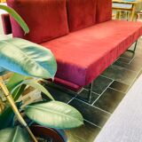 Daybed 50s