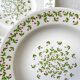 Deep plates Ironstone Italian Giovanni Valdarno pattern green red