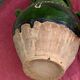 Ancient gargoulette in Corsican green glazed earth