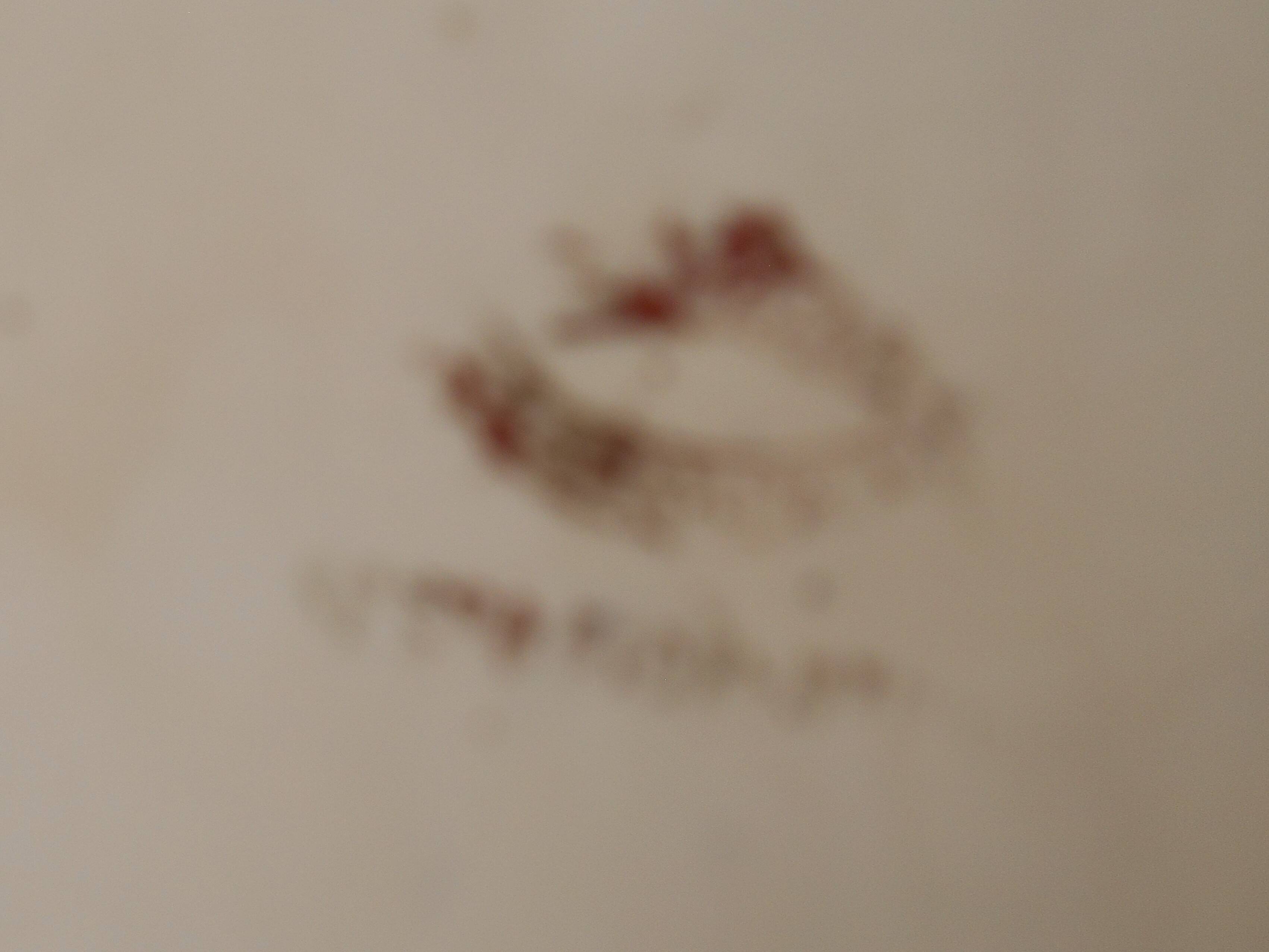 ceramic design vase year 1950