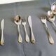 Cutlery set 75 pieces inoxpran italy