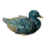 Duck in a slip