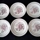 6 Lunéville earthenware dessert plates, Claudine model.
