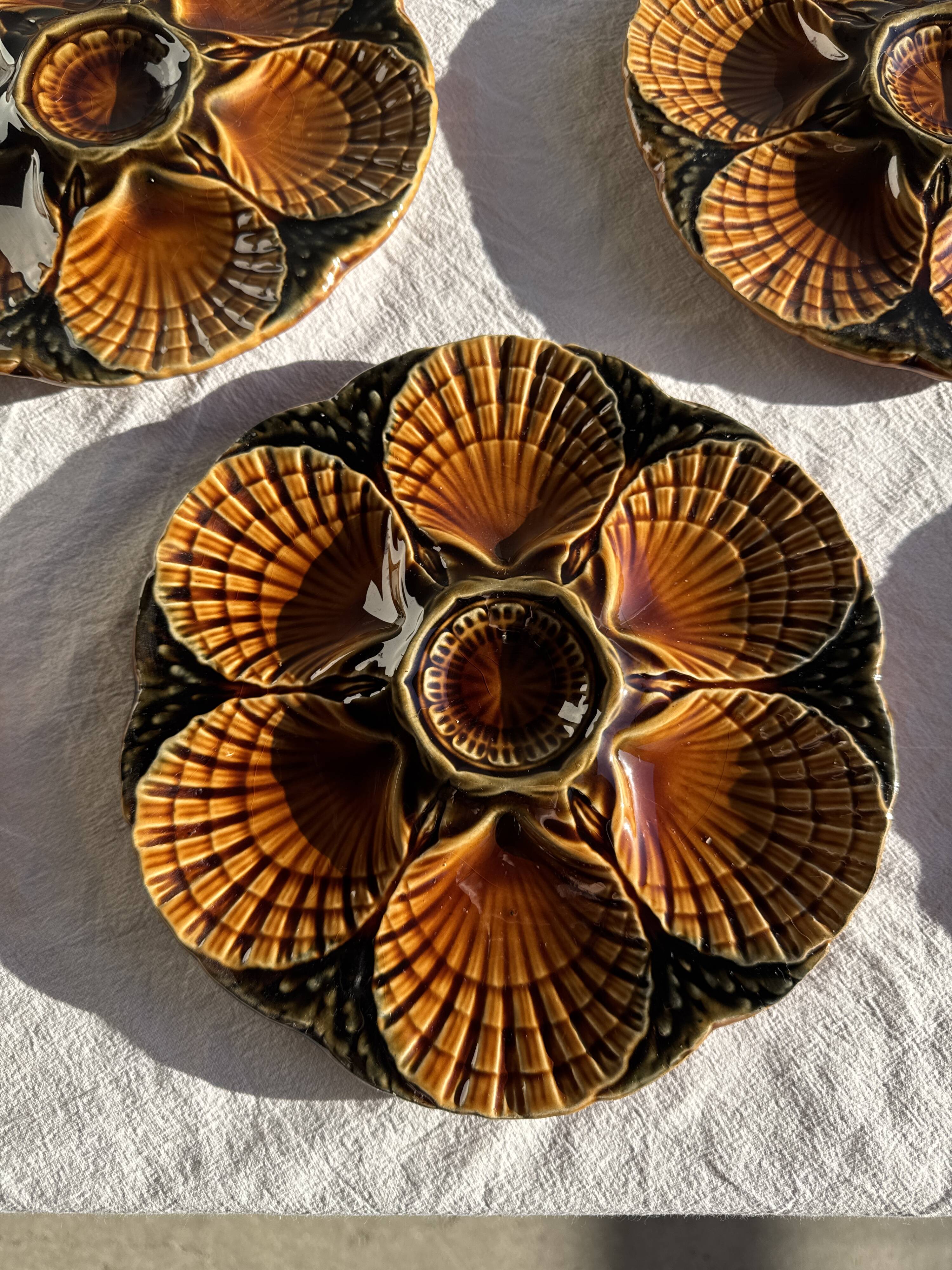 Set of 12 oyster or shell plates in glazed brown ceramic D