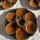 Set of 12 oyster or shell plates in glazed brown ceramic D