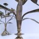 Paire de chandeliers laiton bronze décor floral