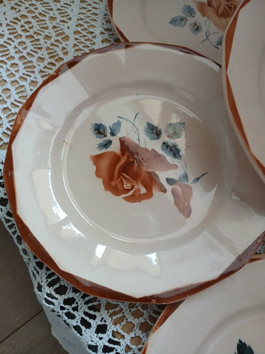 25 old Digoin and Sarreguemines plates