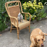 Adult vintage rattan armchair
