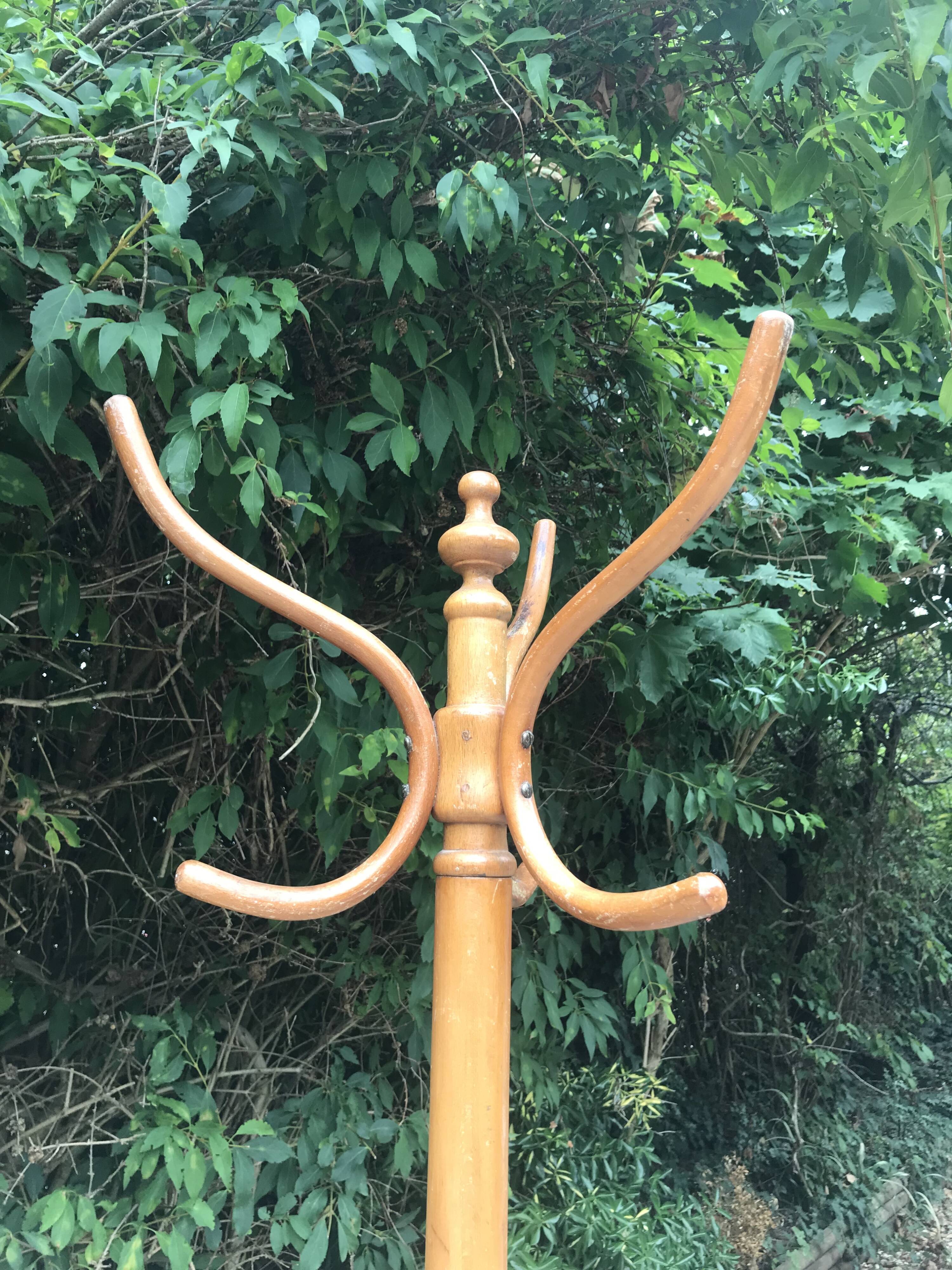Parrot coat holder