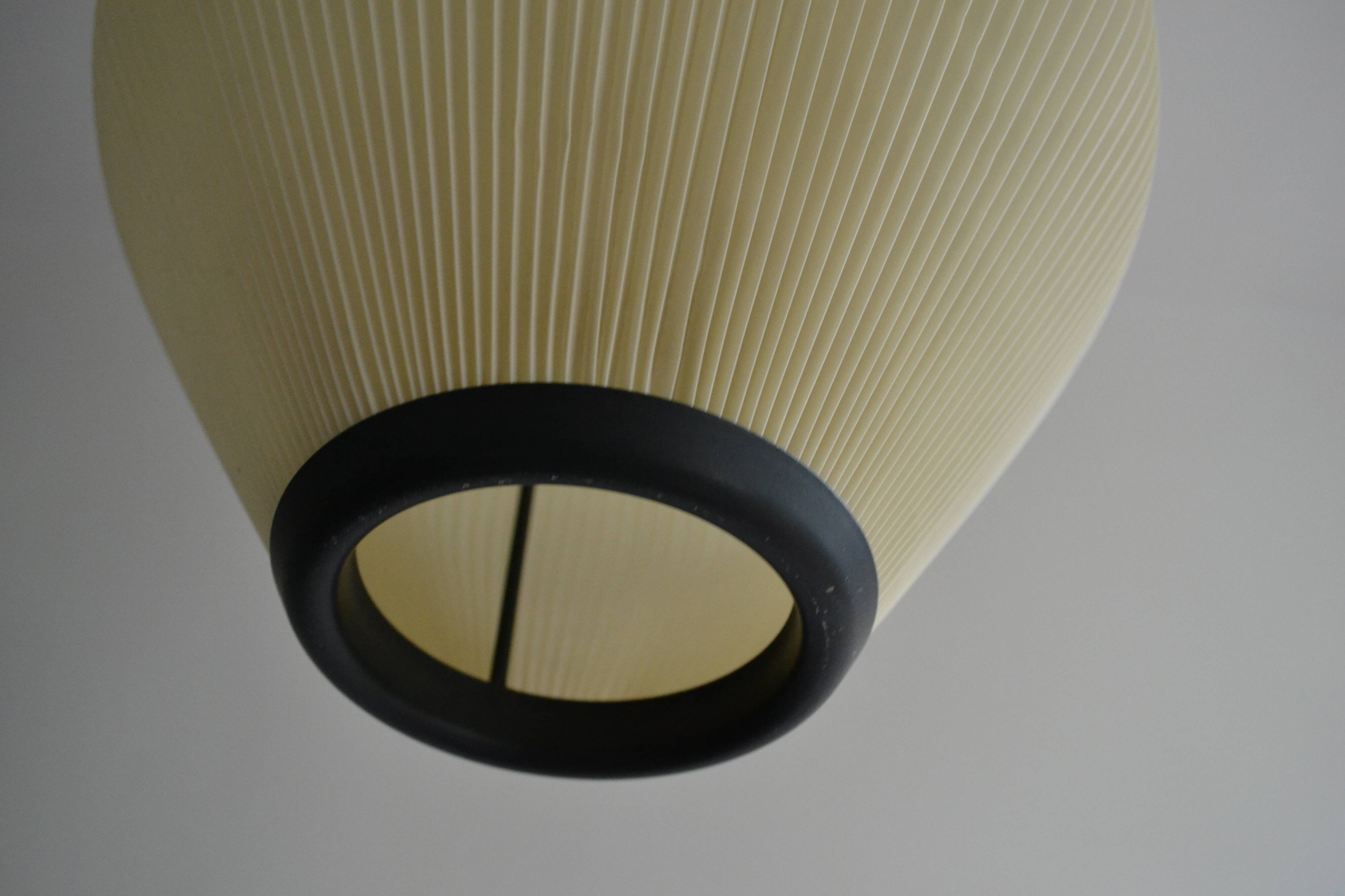 Rispal suspension in rhodoid from the 50s