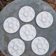 Set of 6 oyster plates with shells in white earthenware