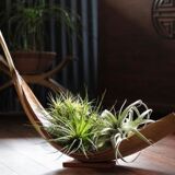 Artisan Maripa Basket