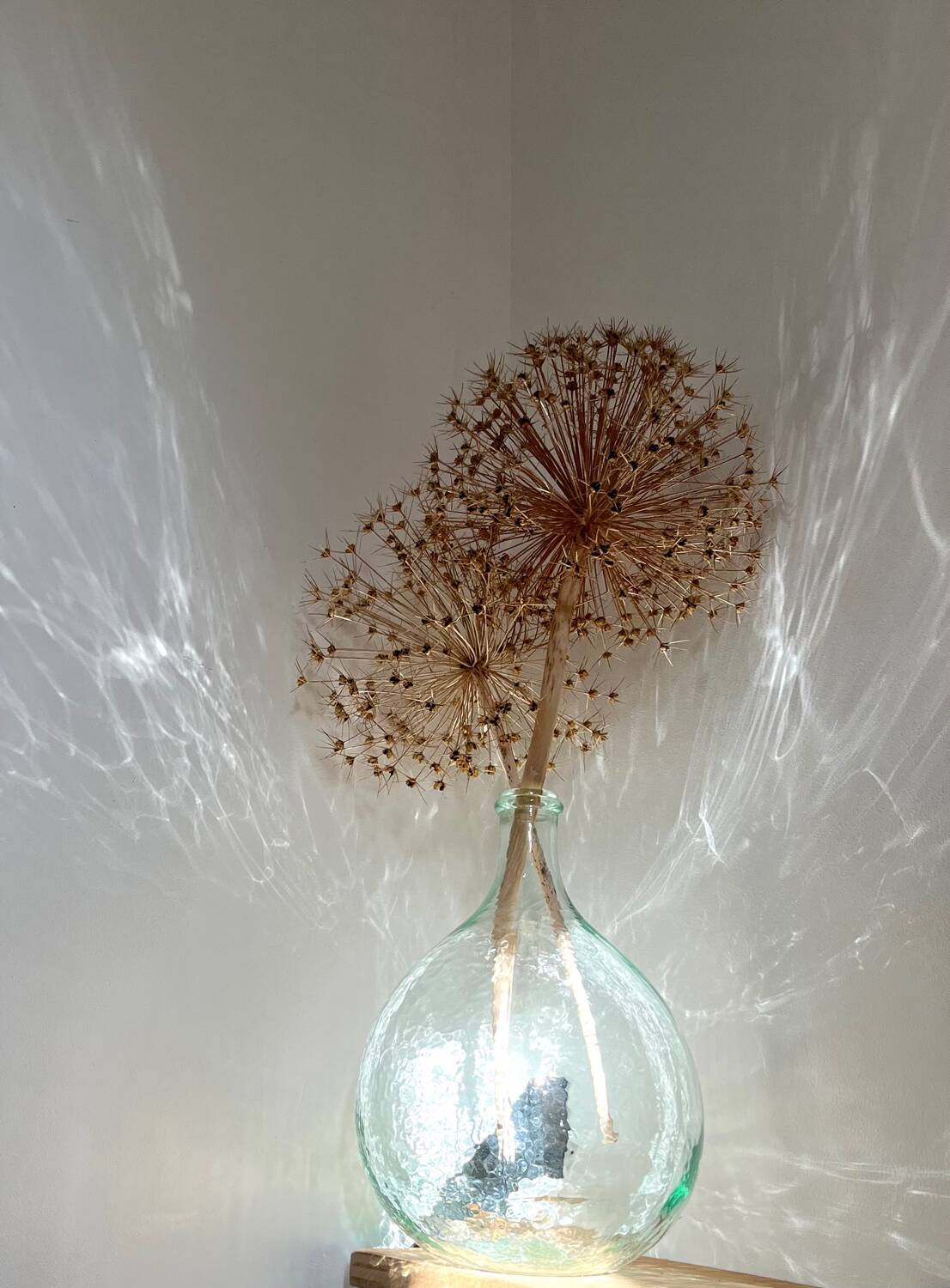 Transparent 5L demijohn