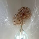 Transparent 5L demijohn