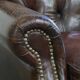 Fauteuil Chesterfield en cuir de vachette grainé marron couleur cognac