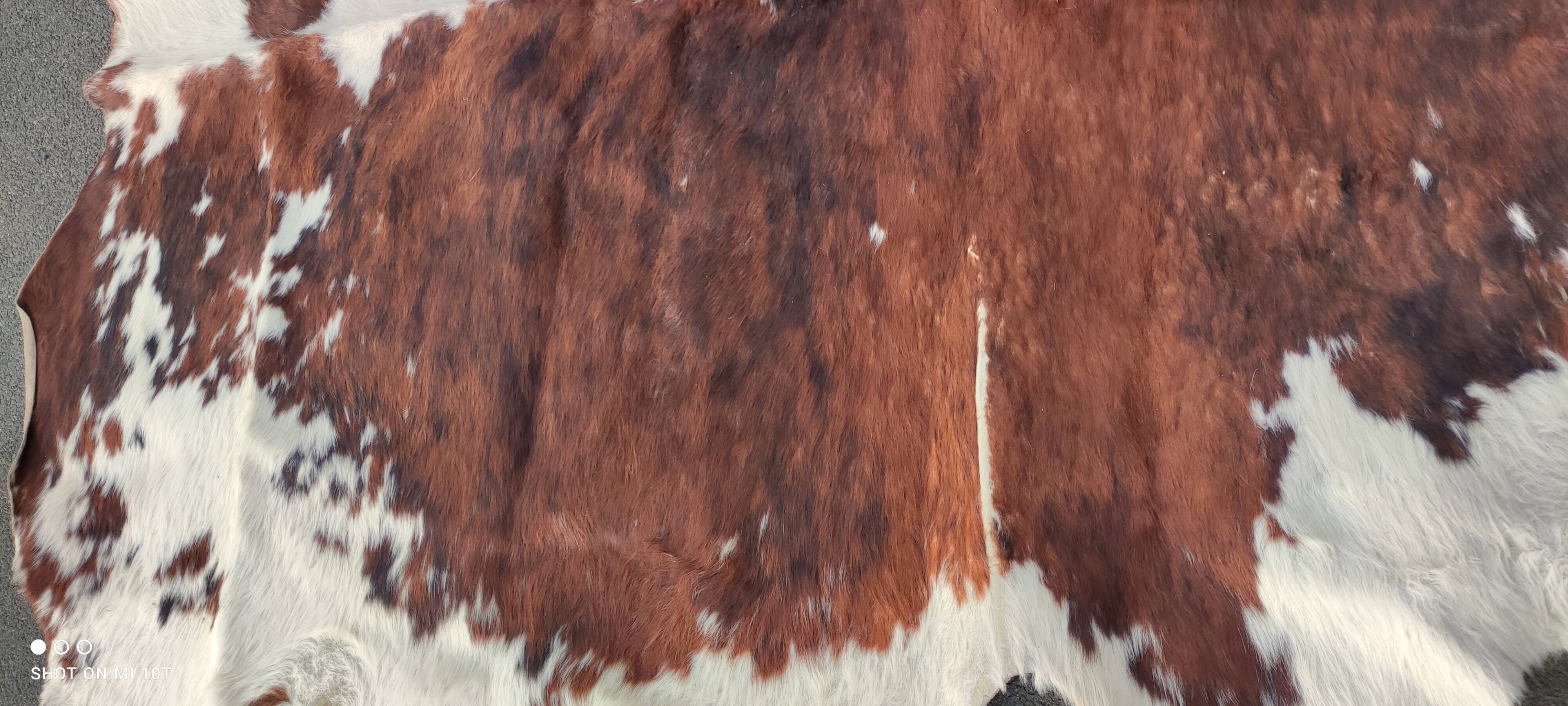 Vintage cowhide rug