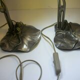 Pair of nymphea lamps