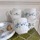 Lot 5 large vintage Arcopal myosotis Veronica tea and coffee cups