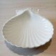 Ceramic shell dish